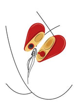 Xocoon - Heartbreaker 2-in-1 Stimulator