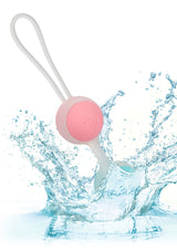 She-Ology - Interchangeable Kegel Set