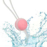 She-Ology - Interchangeable Kegel Set