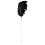 Guilty Pleasure - Large Feather Tickler Black