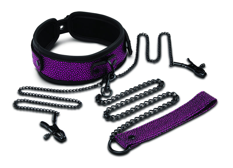 Whipsmart - Dragons Lair Collar, Leash & Nipple Set