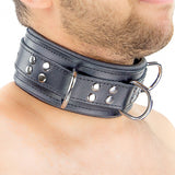 The Red - Padded Leather Collar with Black D-Rings